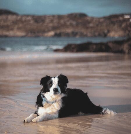 Achmelvich Beach, Photo by Niamh Ross Photography