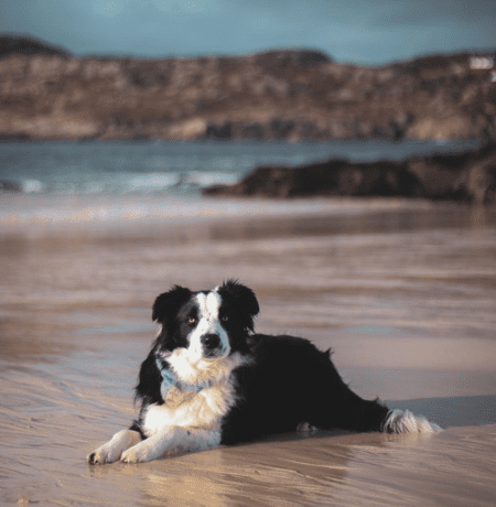 Achmelvich Beach, Photo by Niamh Ross Photography