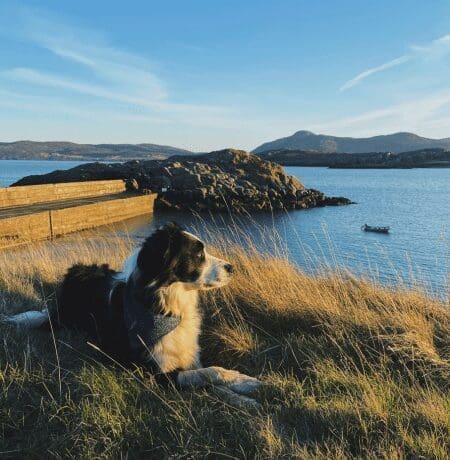 Talmine Bay